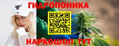 тгк Гусь-Хрустальный