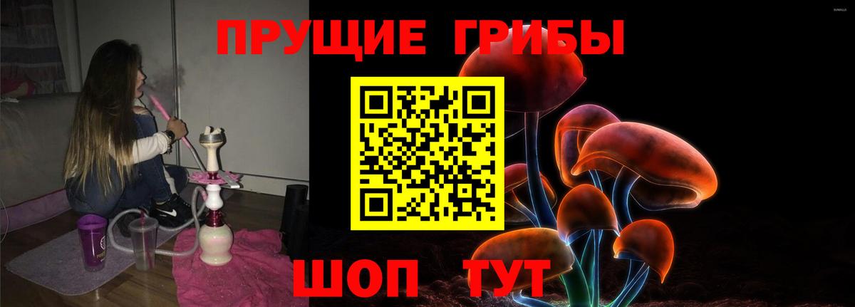 Псилоцибиновые грибы Psilocybe  Вход с VPN  Красный Сулин  Галлюциногенные грибы мухоморы 